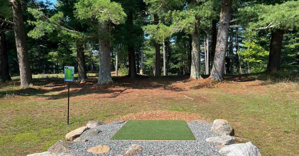 A turf disc golf tee pad in front of a copse of mature trees growing closely together