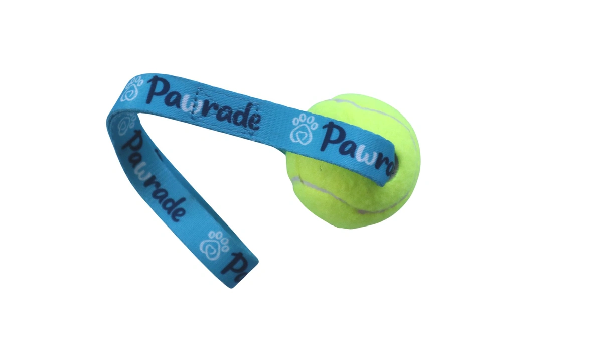 Dog Toy Pawrade Tennis ball.webp