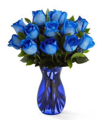 Blue Roses in Blue Vase