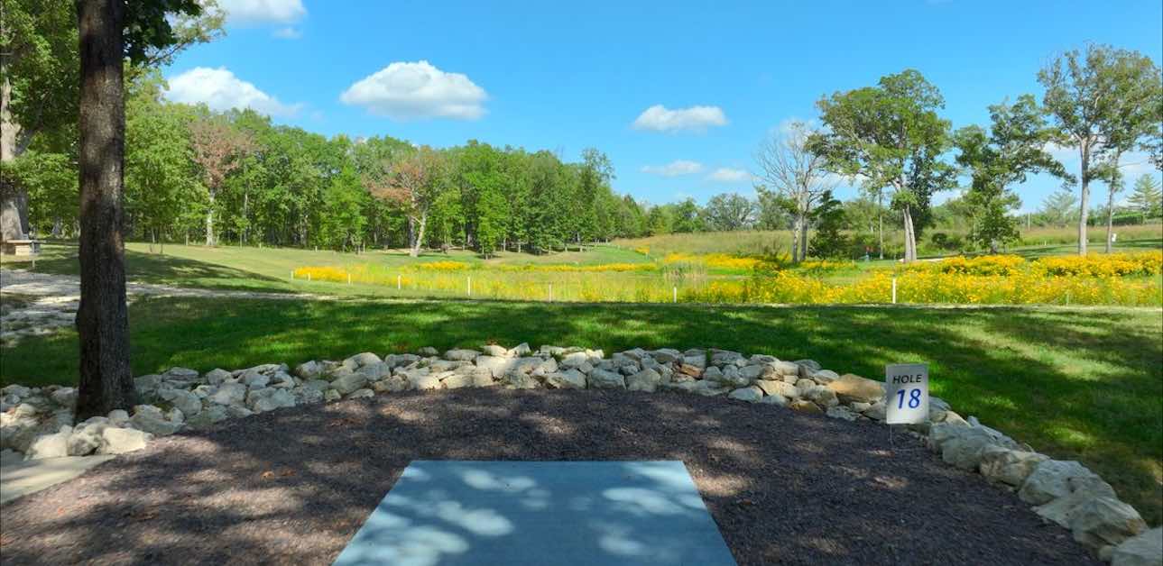A disc golf tee pad leads to a tree-lined but open fairway with many yellow flowers in the rough