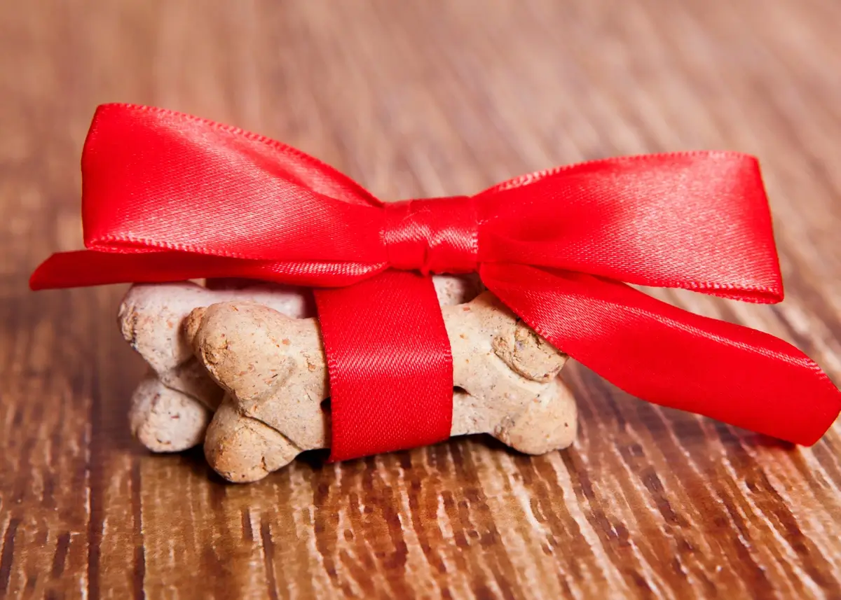 dog treats wrapped up in a red ribbon