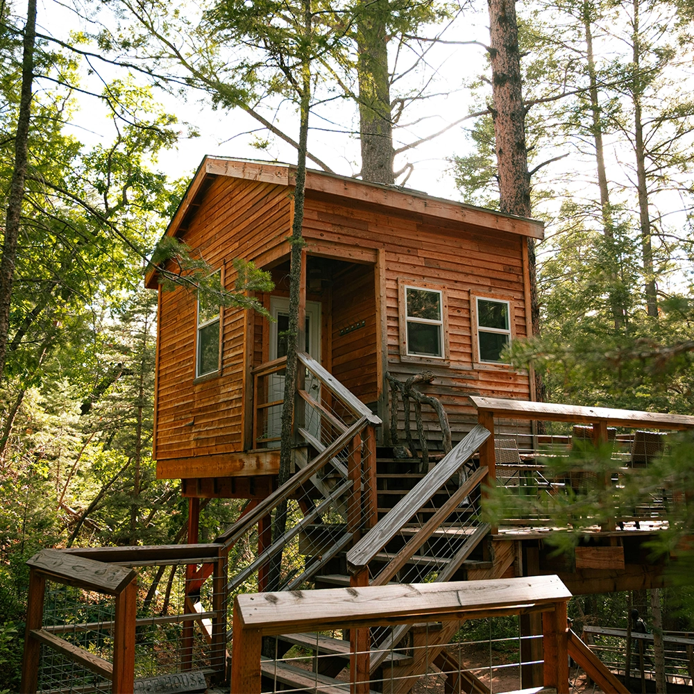 Tech Free_Treehouse.webp