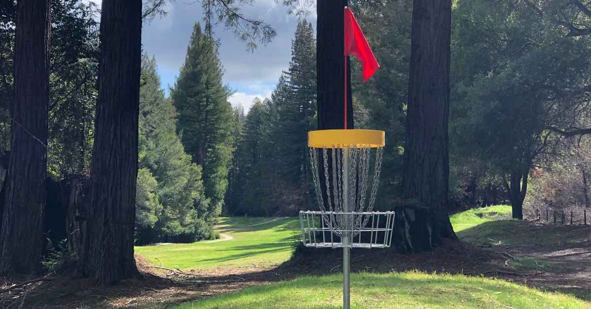 A disc golf basket with a red flag with a backdrop of tall evergreens and well-mown, green grass