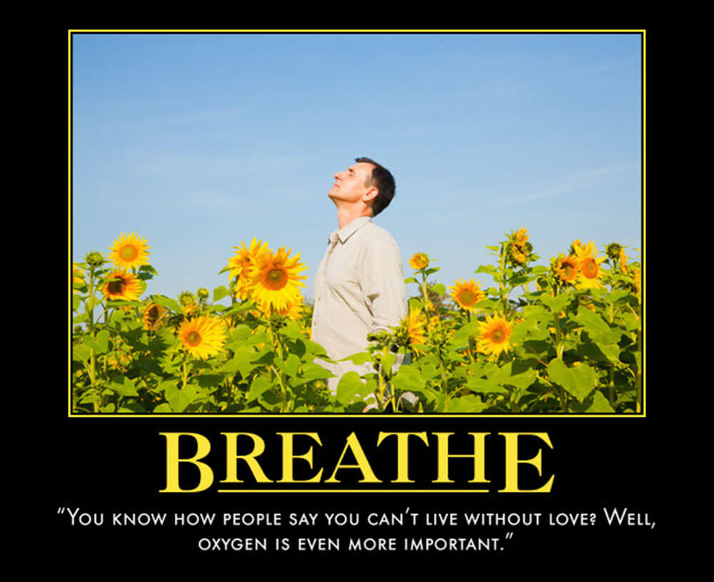Breathe - House Quotes