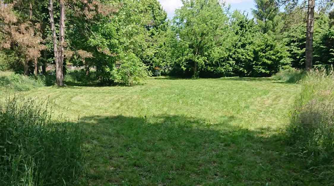 a well-mown clearing surrounded by trees