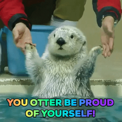 giphy (14).gif