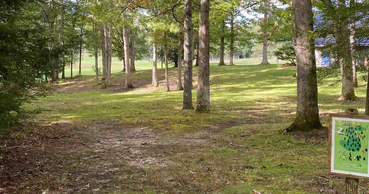 A disc golf fairway with scattered trees