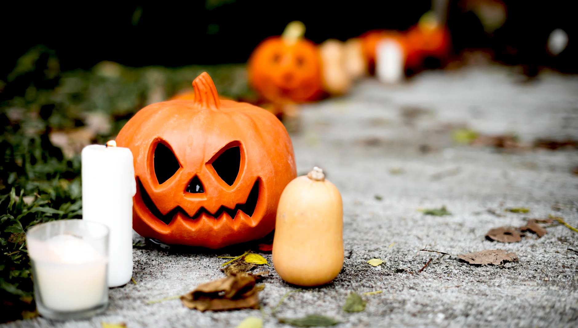 The Best Halloween Activities in Austin Realty Austin