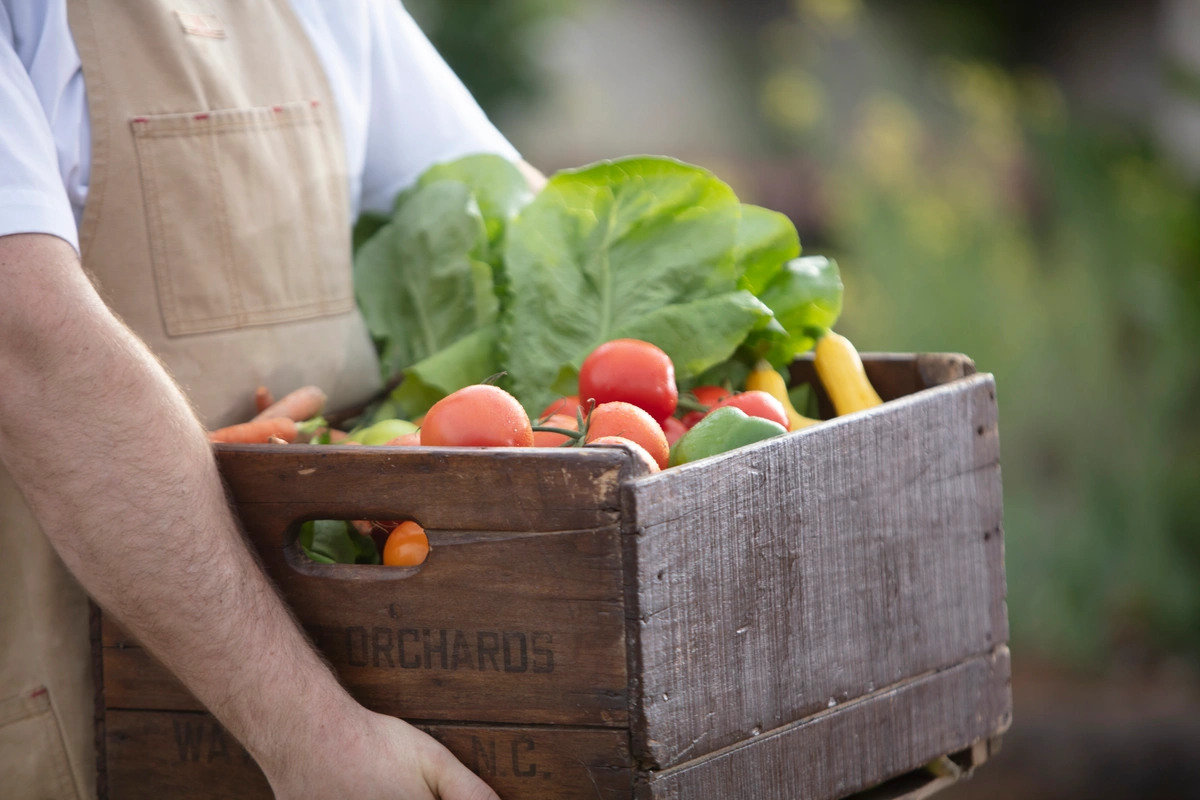 5 Healthy Eats in Sweet Home Alabama