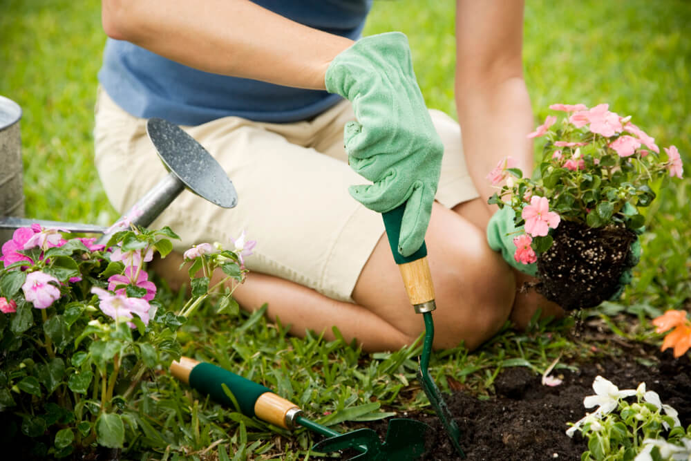 gardening for mental health