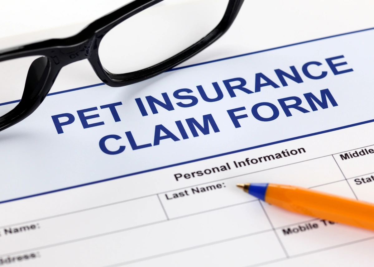 A Guide to Choosing a Pet Insurance Plan