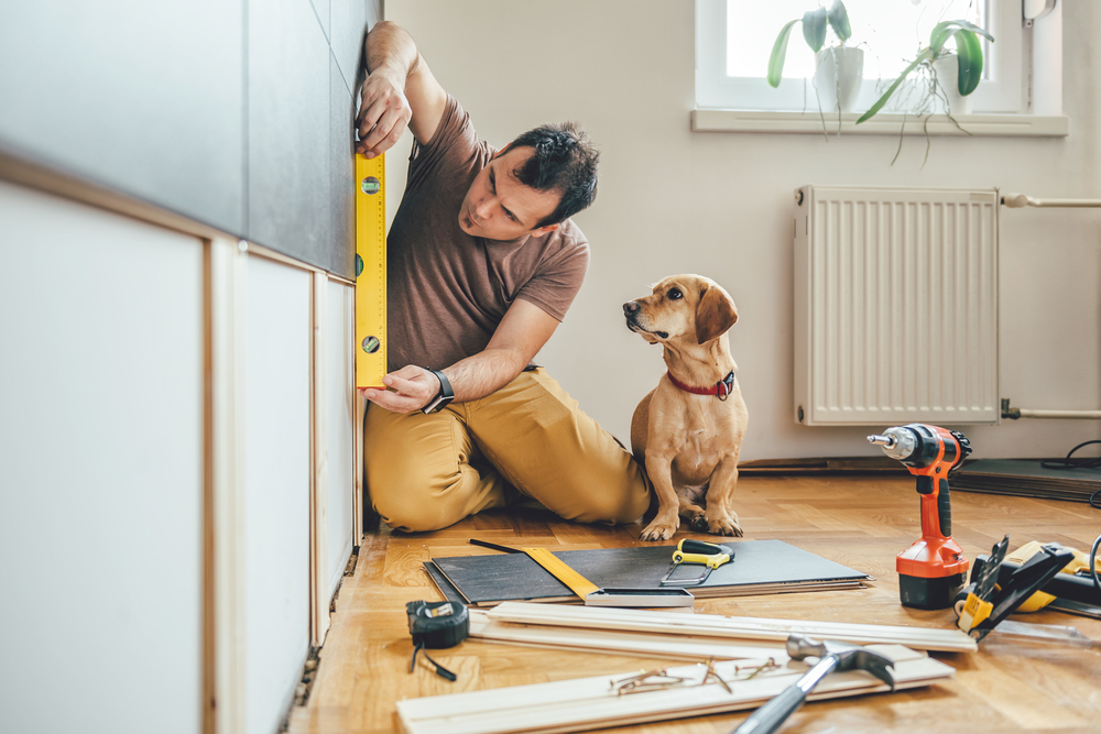 Man renovating home with his dog watching