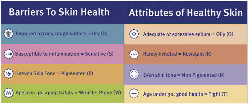 barriers of skin health and attributes