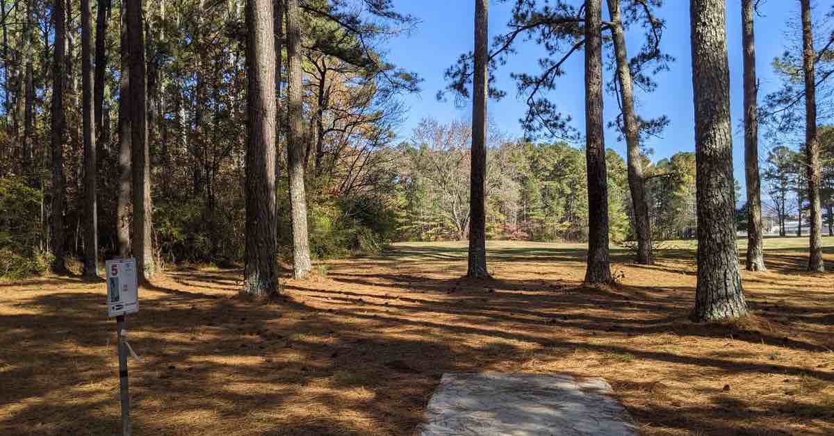 Concrete disc golf tee in wooded area covered in pine straw with view of open field beyond