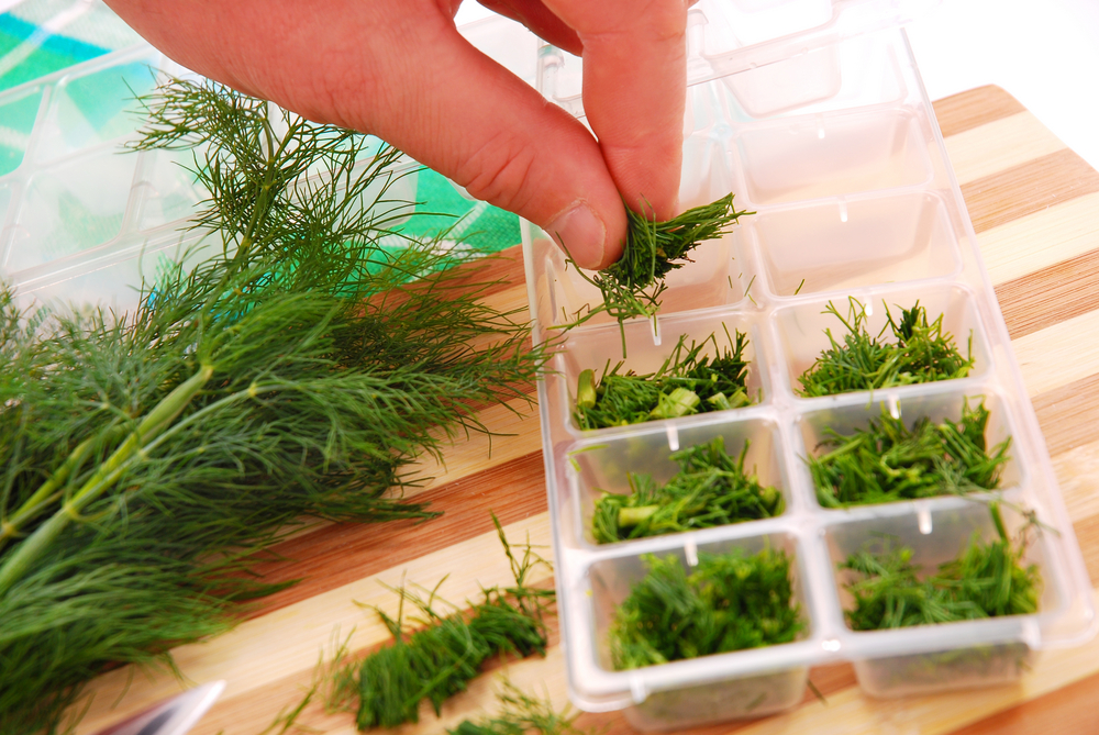 herbs in ice cube tray