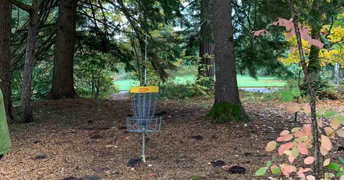 A disc golf basket in a cleared area among trees