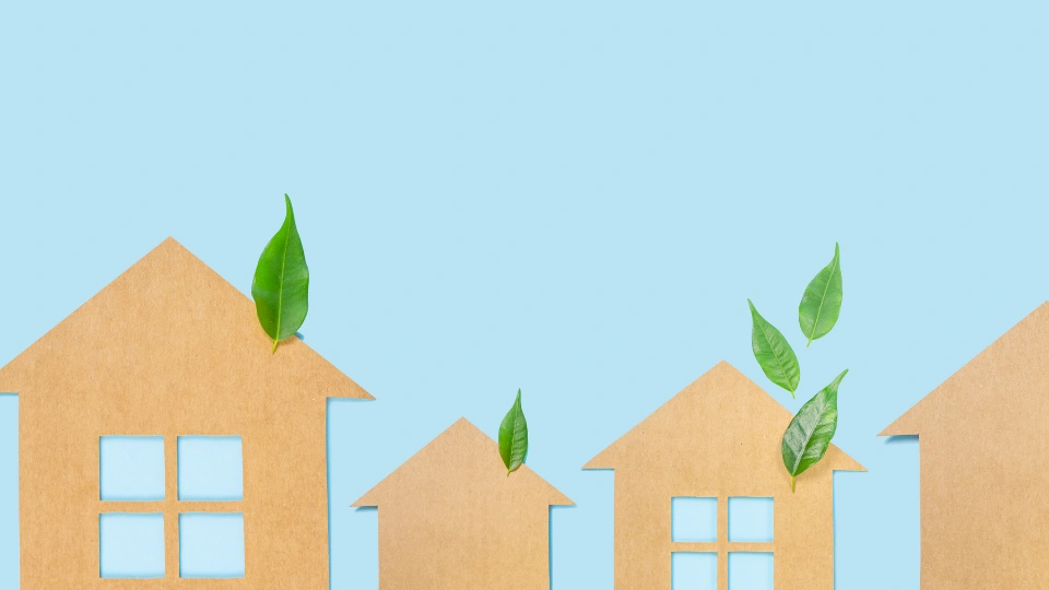 set of homes with green leaves