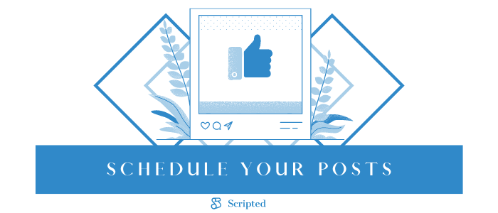 Schedule your posts