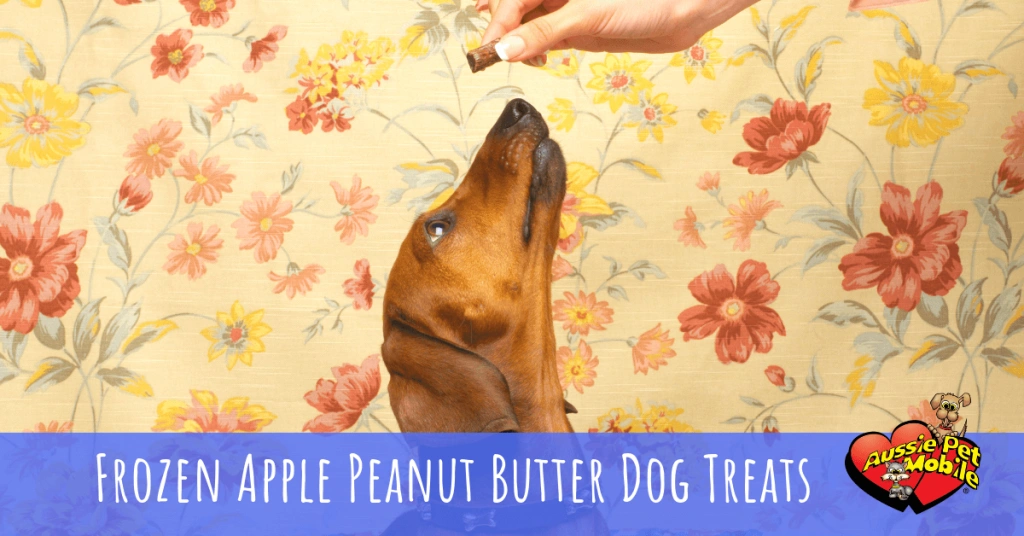 frozen-apple-peanut-butter-dog-treats...