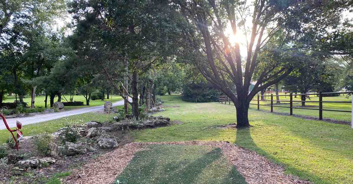 A turf disc golf tee pad on well-mown landscape with scattered trees