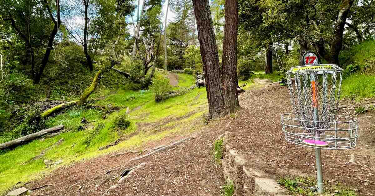 A disc golf basket on a slope in a wooded area
