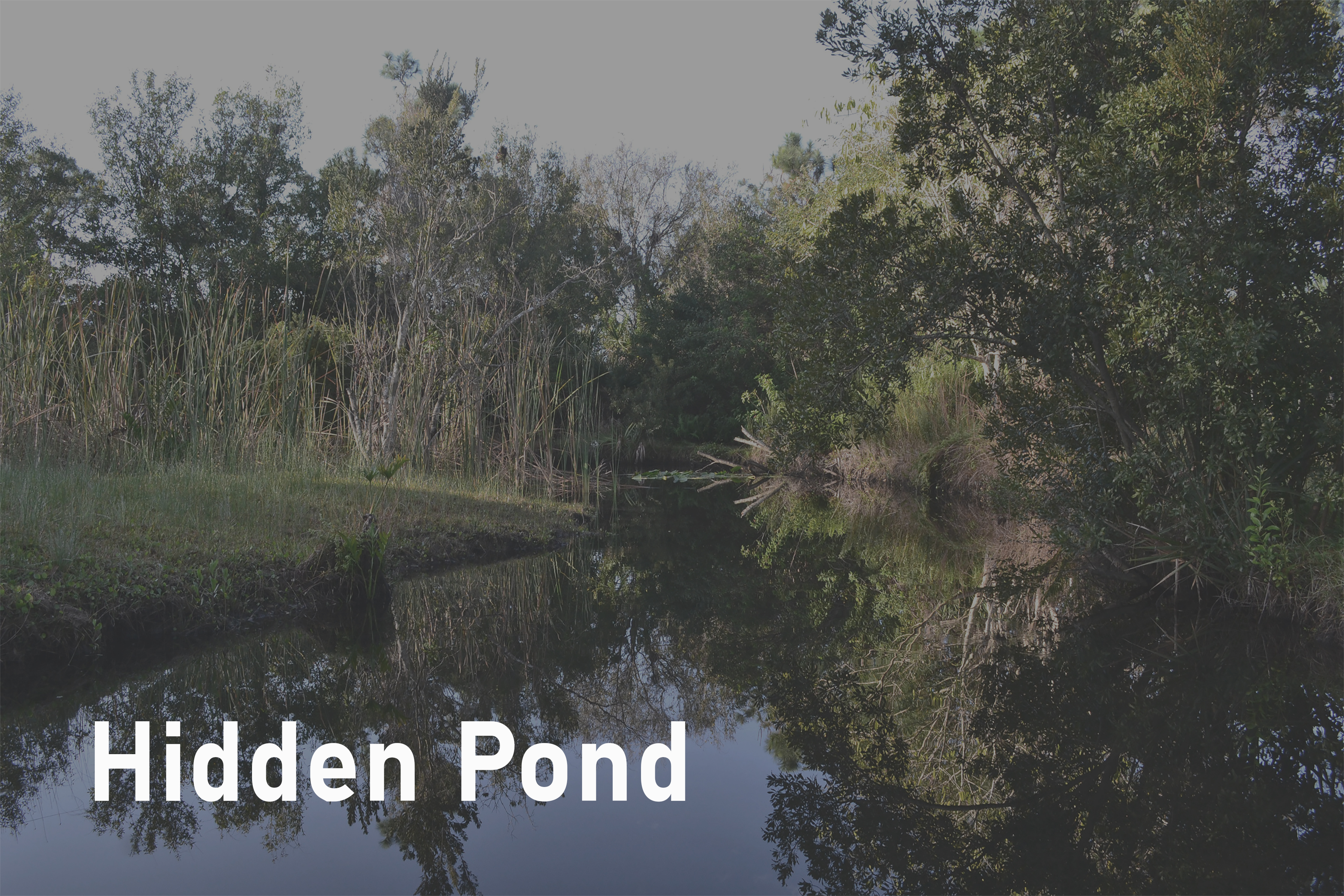 Hidden Pond New Home Community in Delaware Ashburn Homes