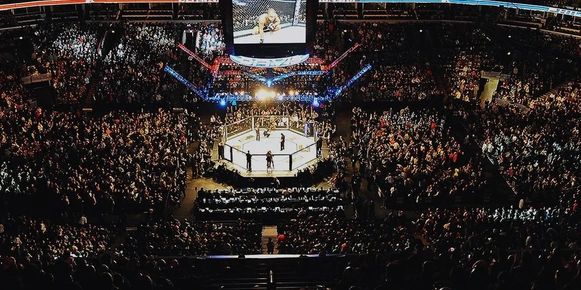 5 Infallible Ways to Get Cheap UFC 241 Tickets this Summer