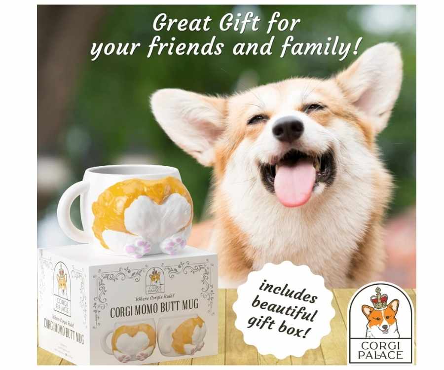 corgibuttmug.jpg