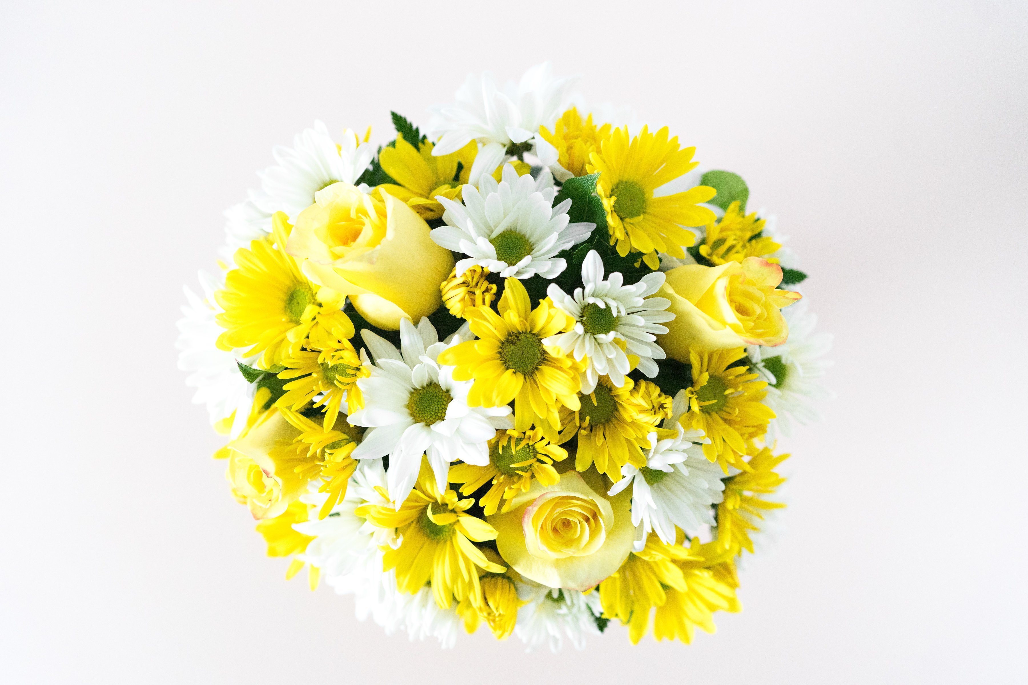 white and yellow daisies bouquet