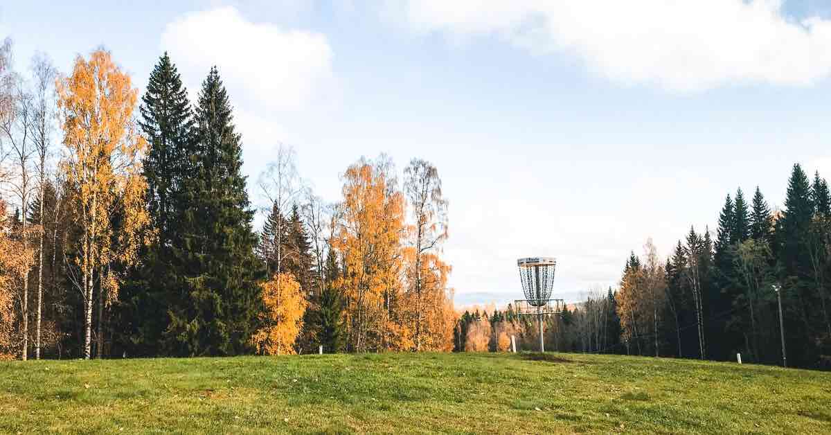 A disc golf basket on a hill with evergreens and birches behind