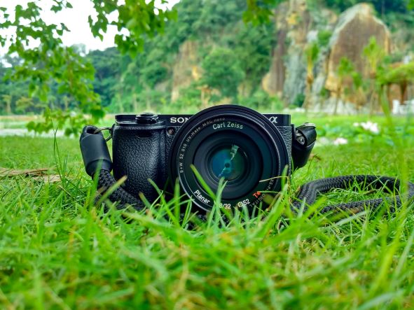 A camera sitting in the grass looking right at you, waiting for a caption