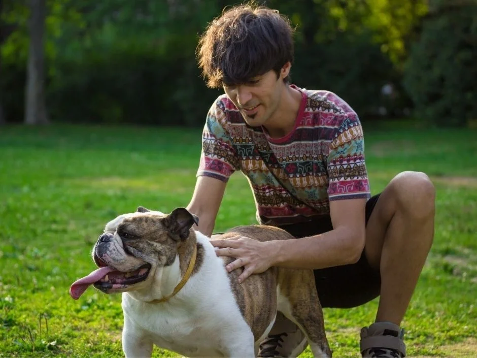 Young man smiling and petting an English Bulldog in a sunny park setting on green grass
