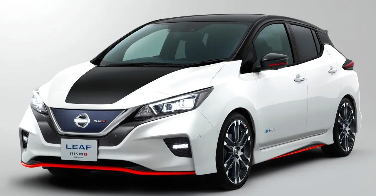 Leaf Nismo 2017