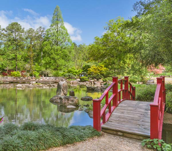 Birmingham Botanical Gardens 