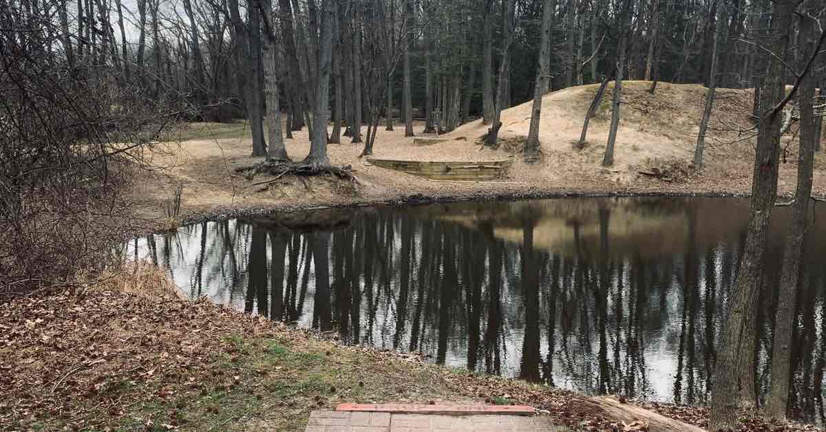 A small body of water in the woods