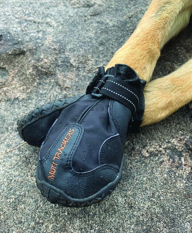 15 Dog Paw Care Products for Healthy Puppy Paws