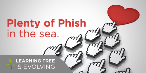 plenty of Phish in the sea