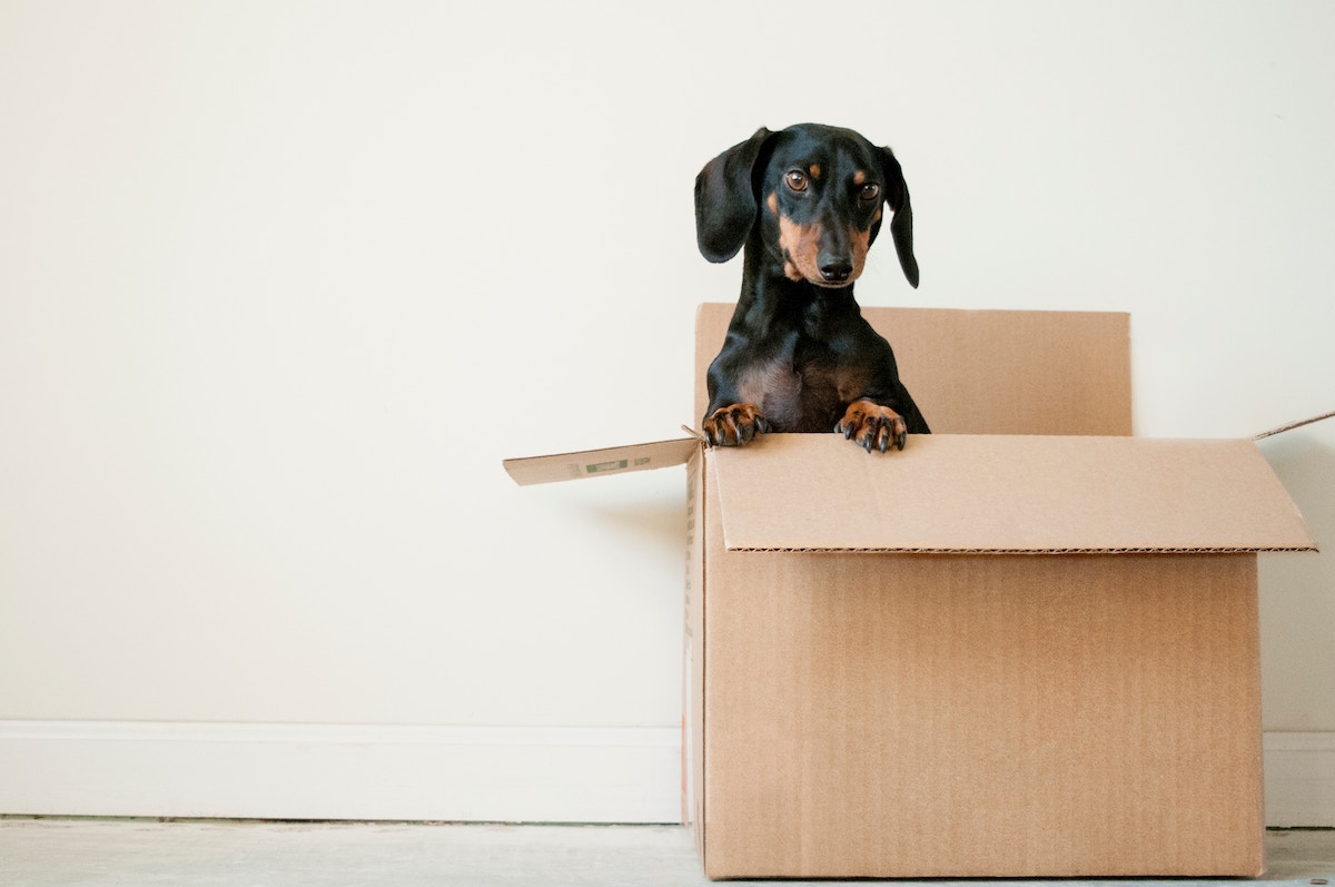 10-tips-for-moving-from-a-house-to-an-apartment-ultimate-checklist