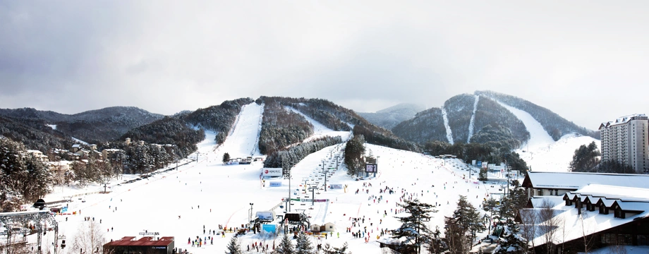 龍平滑雪場