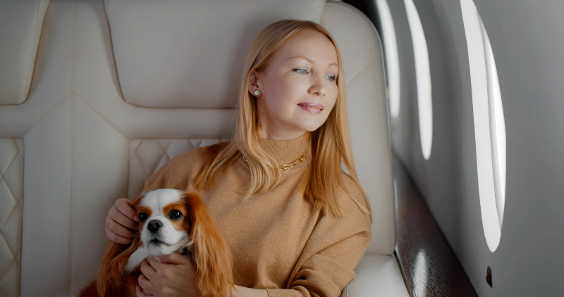 Private Air Travel for Pets: Flying with Pets