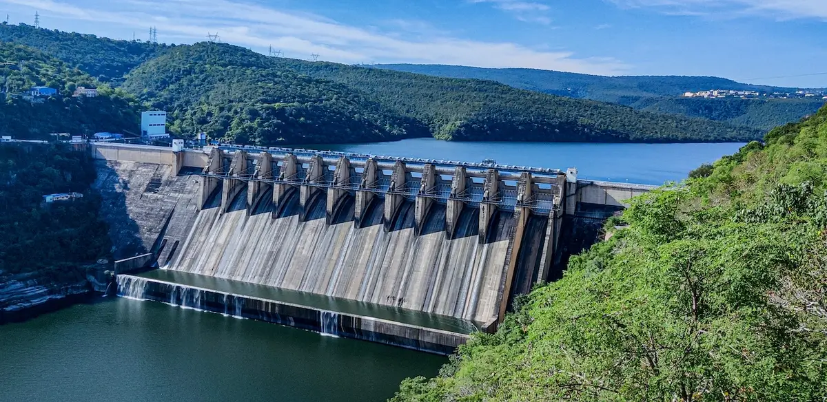 Dam and forest