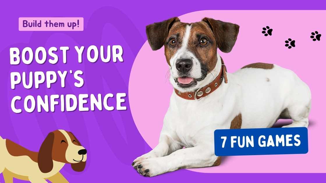 image says boost your puppy's confidence with a jack russell terrier against a purple background