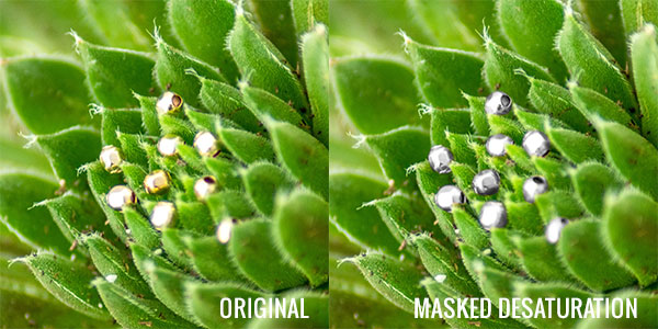 Comparison between original photo and image with masked desaturation to make beads look silver