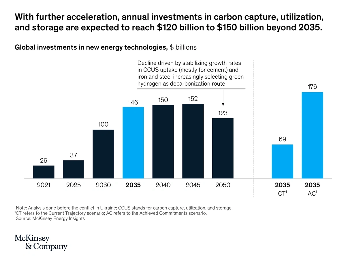 The 10 Biggest Sustainability Trends (20242025)