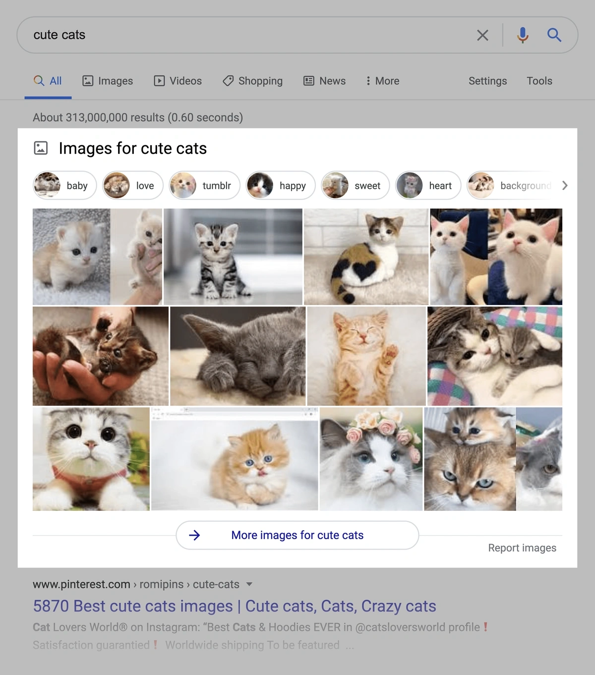 An Image Pack on cute cats