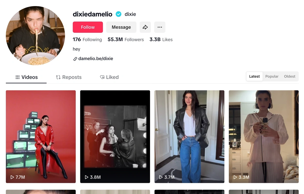 Screenshot of Dixie's TikTok page