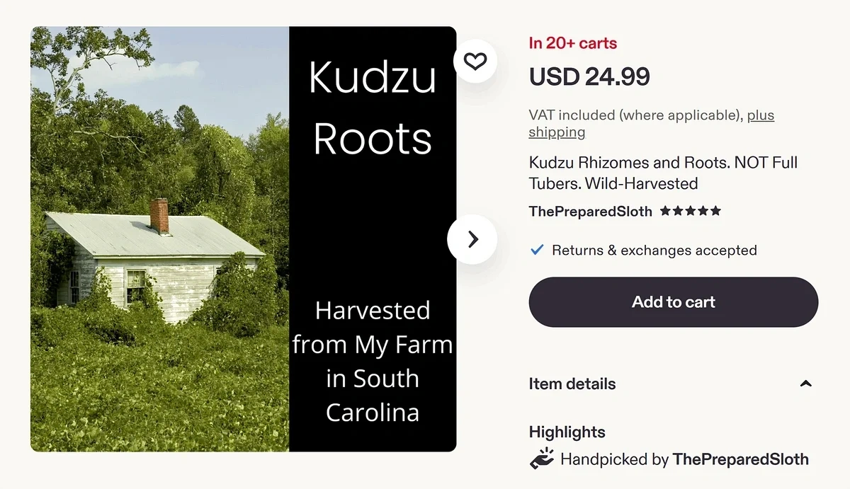 Etsy store listing advertising Kudzu roots harvested from a farm in South Carolina, USA