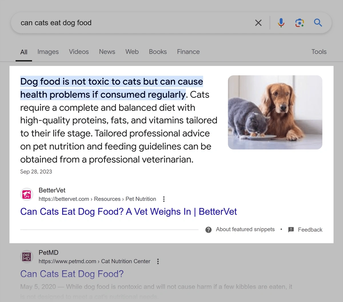 featured snippet highlighted in serp for can cats eat dog food