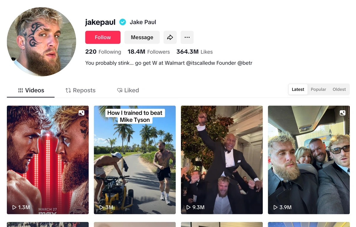 Screenshot of Jake Paul's TikTok page