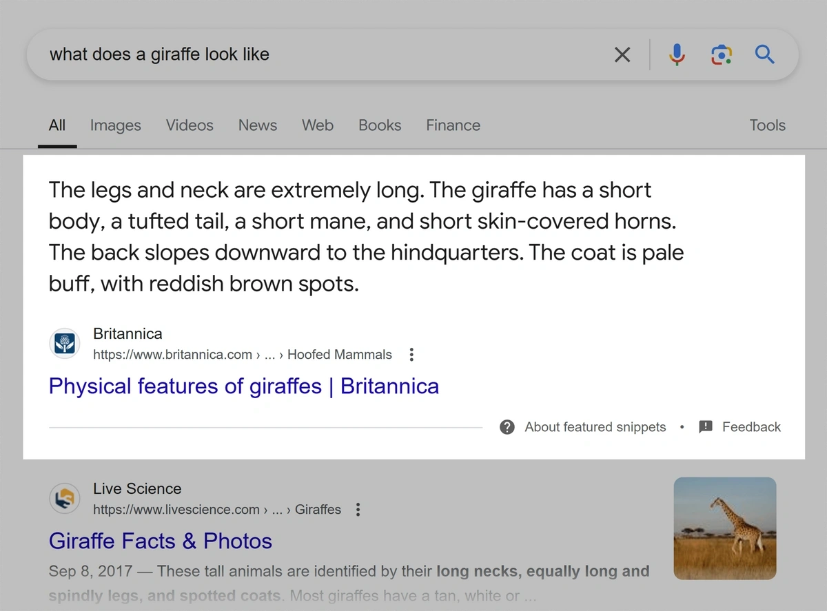 Example of a Featured Snippet